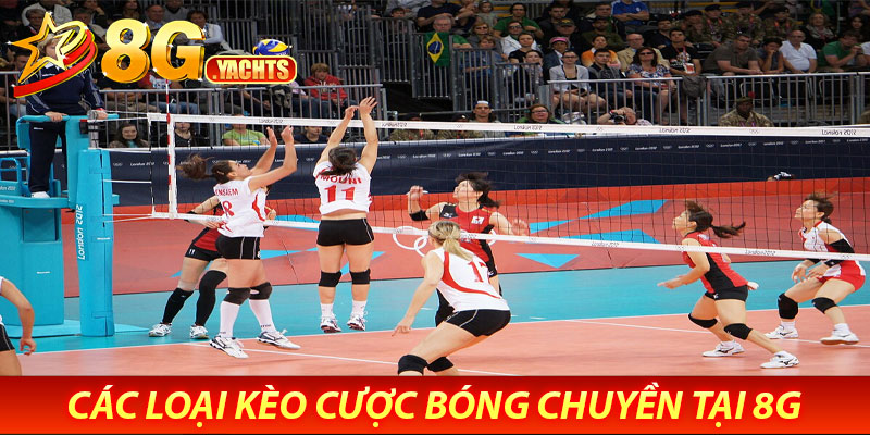 Các Loại Kèo Cược Bóng Chuyền Tại 8G