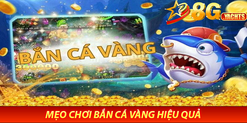 Bắn Cá Vàng 8G – Săn Vàng Thưởng Khủng, Giải Trí Cực Đã 7 Mẹo Chơi Bắn Cá Vàng Hiệu Quả