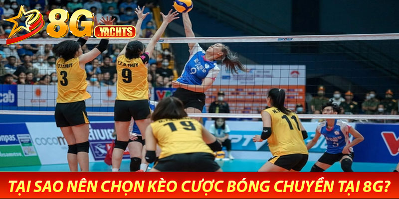 Kèo Cược Bóng Chuyền – Cơ Hội Thắng Lớn Cho Người Chơi 7 Tại Sao Nên Chọn Kèo Cược Bóng Chuyền Tại 8G?